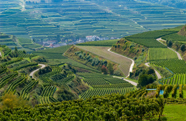 Fototapeta premium Kaiserstuhl, Baden-Württemberg. Deutschland