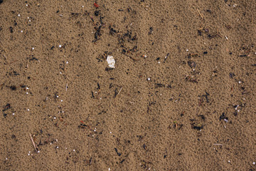 Styrofoam particles on the beach