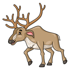 Reindeer Cartoon