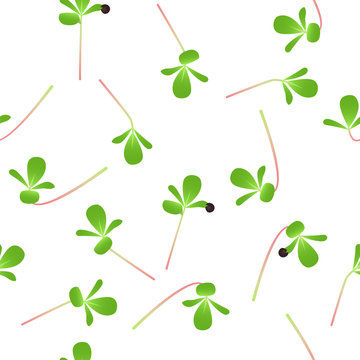Microgreens Purslane. Sprouting seeds of a plant. Seamless pattern. Vitamin supplement, vegan food.