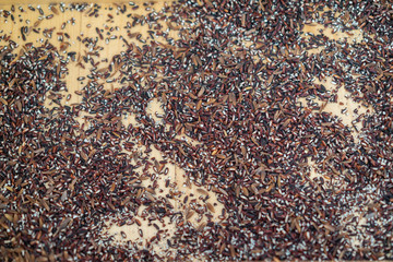 Germinated Riceberry thai food Health