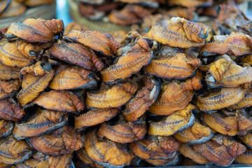 Deep striped snakehead fish In the market