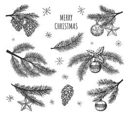 pine branch, Christmas toys. Vector graphics. Sketch. Eps