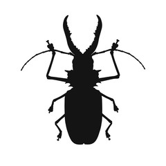 Silhouette of bug isolated on white background. Vector illustration