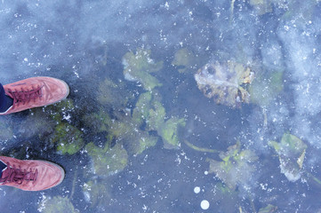 Fototapeta na wymiar Feet stand on clear ice, danger of the first ice