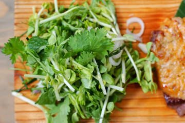 Sliced green coriander for spicy side dishes
