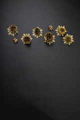 Golden christmas decorations - Christmas ornament - Pine cones and branches