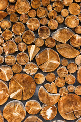 View of end cut wood tree section with cracks and annual rings. Natural organic texture with cracked and rough surface. Round cut down tree. Close view of brown tree log.