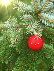 weihnachtskugel vergessen sommer