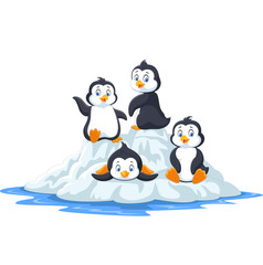 Group of funny penguins playing on ice floe