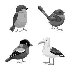 Vector design of animal and wild icon. Collection of animal and nature stock symbol for web.