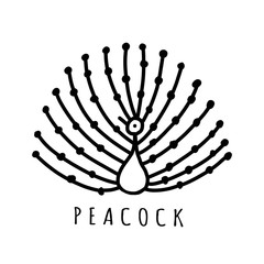 Peacock collection, ethnic style, sketch for your design