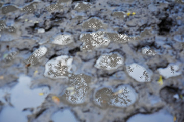 water drops on a surface