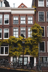 Fototapeta premium Building covered in vine