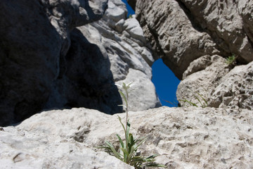 Barren rocks on Bijele stijene mountains in Croatia