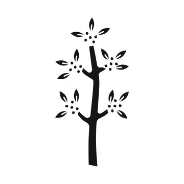 Vector design of tree and coffee icon. Set of tree and plant vector icon for stock.