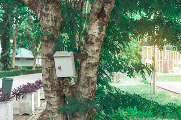Old rusty electrical power control box on tree in the public park.