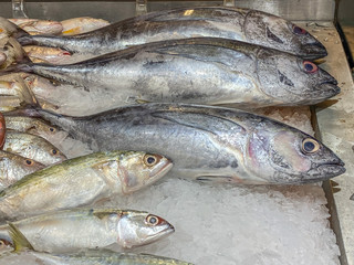 Assorted fish frozen on ice at seafood stall in supermarket
