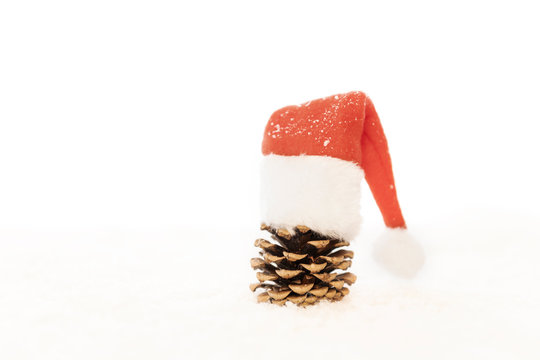 Bockerl mit Weihnachtsm&uuml;tze high key