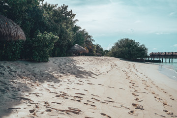 Footprints on the beach leading to various beach cabanas in the Maldives