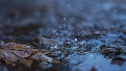 Autumn background with bokeh from the drops of rain, bright blue light is refracted through drops of water