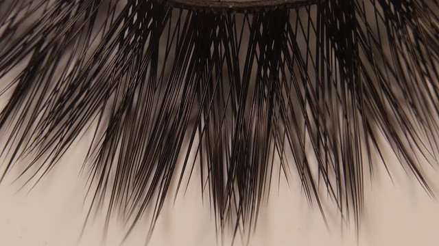 Zooming out at Set eyelash extension tools isolated background, Artificial lashes , Makeup, Cosmetics, Beauty Products, macro
