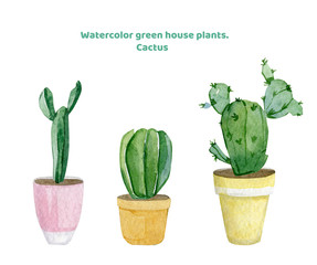 Watercolor green house plants illustration. Set cactus elements home in pots for greetig card, banner, invintation template and design print tshirt.