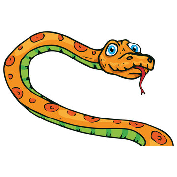Snake icon. Vector illustration of a cute snake curled up into rings. Hand drawn cartoon snake python with a pattern on the skin.