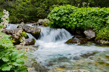 Stream in tatra mountains, poland