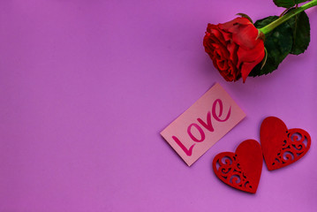 Hearts on a purple background. Fresh rose with green leaves. Valentin's Day, love. Top view. Flat...