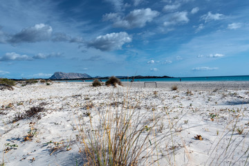 Sardinia sandy landscape on La Cinta beach next to San Teodoro, Italy.