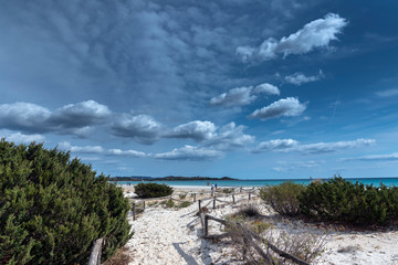 Fototapeta na wymiar Sardinia sandy landscape on La Cinta beach next to San Teodoro, Italy.