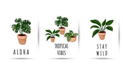 Hygge set of postcards. Collection of potted succulent plants flyers. Cozy lagom scandinavian style posters