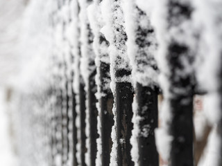 Snow on a black metal fence. Close-up.