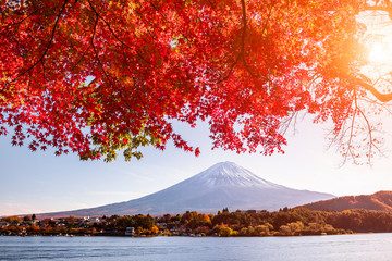 Mt. Fuji in autumn on sunrise at lake Kawaguchiko, Japan.