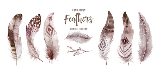 Hand drawn watercolor paintings vibrant feather set. Boho style wings. illustration isolated on white. Bird fly design for T-shirt, invitation, wedding card. Rustic Bright colors.