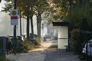 Straße mit Bushaltestelle im Morgennebel, Bremen, Deutschland, Europa