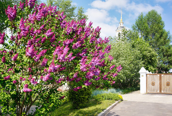 SUZDAL, VLADIMIR REGION/RUSSIA - : view of the Rizopolozhensky Monastery