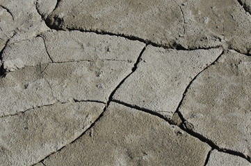 ひび割れた地面