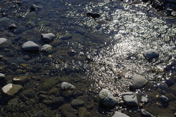 水面のきらめき