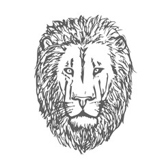 Hand Drawn Lion Head. Lion Face. Vector