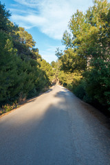 The green road of Oropesa del Mar