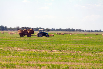 Obraz premium Tractor loading hay bales on truck agricultural works