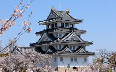 一夜城　墨俣城　満開の桜と墨俣城　春の墨俣城