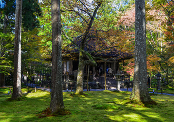 Autumn scenery in Kyoto, Japan
