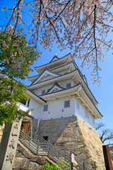 一夜城　墨俣城　満開の桜と墨俣城　春の墨俣城