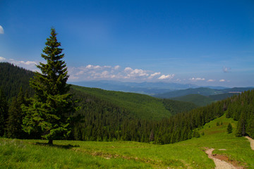 Fototapeta na wymiar Picturesque Carpathian landscape