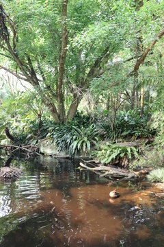Sydeny Bilder – Durchsuchen 76 Archivfotos, Vektorgrafiken und Videos