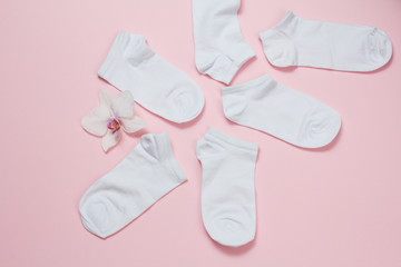 Women socks and orchid bud on pink background.