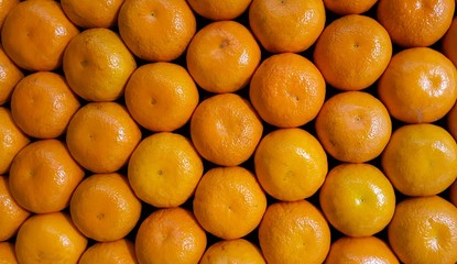 oranges fruit piled background.